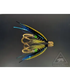 Fast fisk