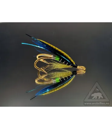 Fast fisk