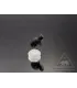 Foam beetle
