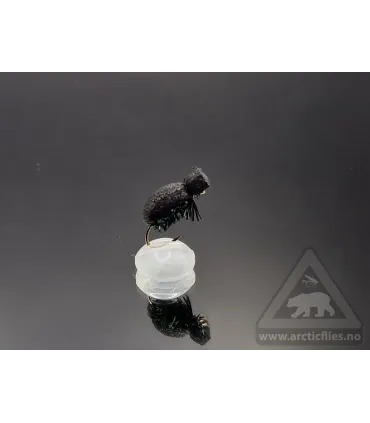 Foam beetle