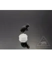 Foam beetle