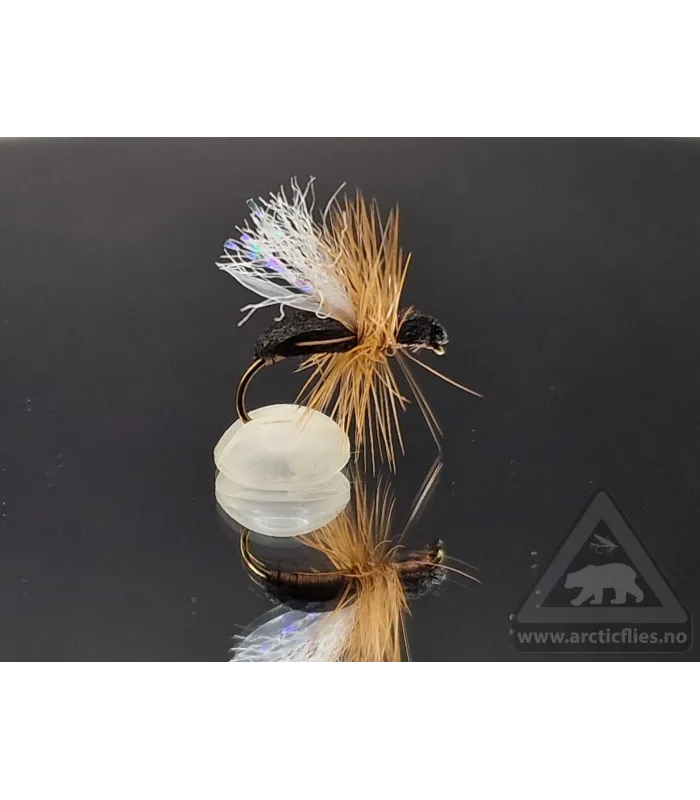 Foam flying ant black