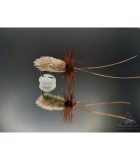 Goddards caddis