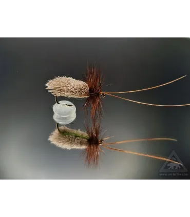Goddards caddis