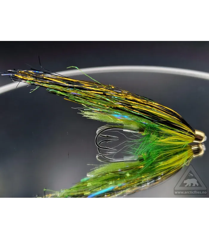 Golden highlander flashwing tube