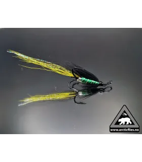 Green Brahan longtail