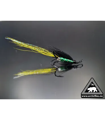 Green Brahan longtail