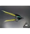 Green Brahan longtail