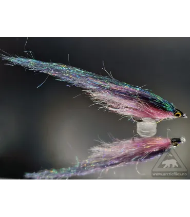 Green and pink minnow