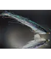 Green and white minnow
