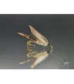 Hares ear wet fly