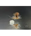 Ignita flash