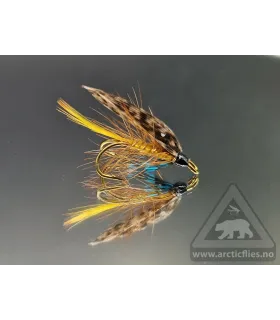 Invicta fly