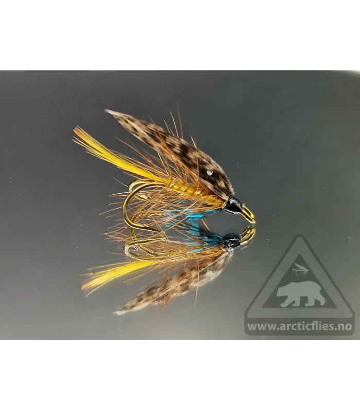 Invicta fly