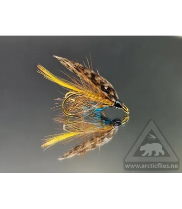 Invicta fly
