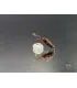 Lepto nymph