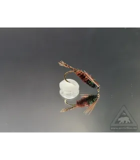 Lepto nymph