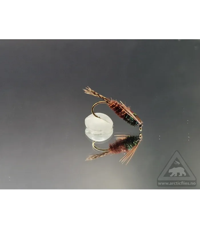 Lepto nymph