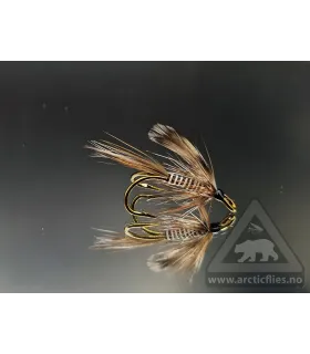 Mosquito