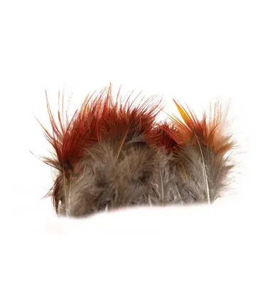 Golden pheasant body feathers