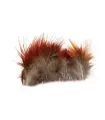 Golden pheasant body feathers