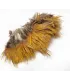 Golden pheasant body feathers