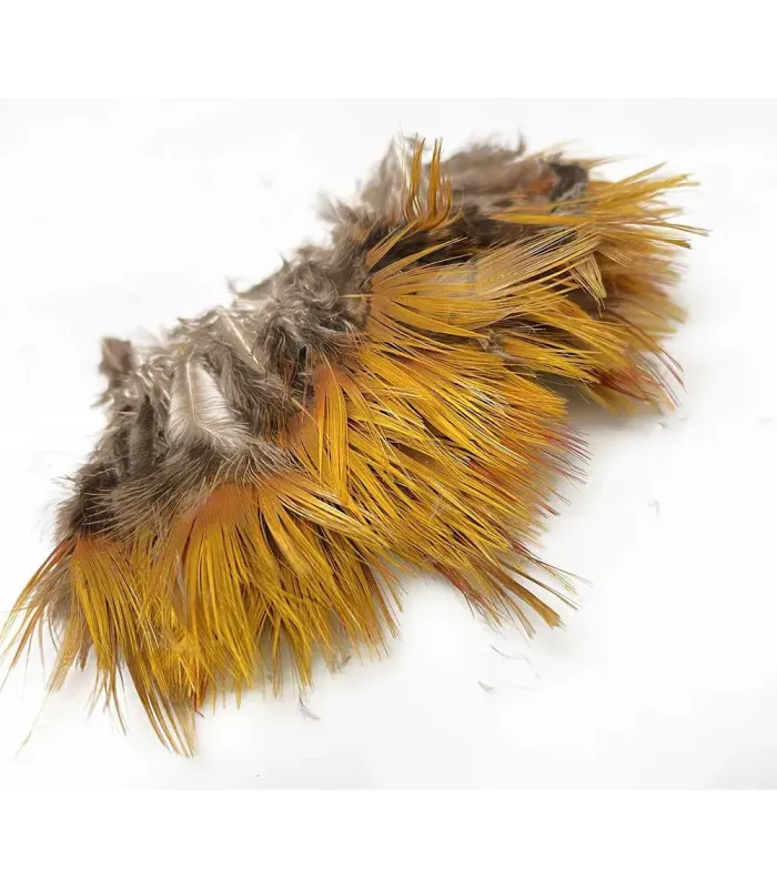 Golden pheasant body feathers