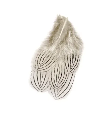 Veniard silver pheasant body feathers natural