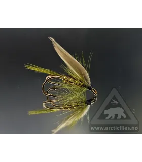 Olive dun
