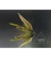 Olive dun