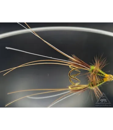 Frances olive dbl gold