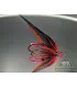 Paso doble