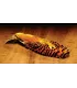 Hareline golden pheasant complete head