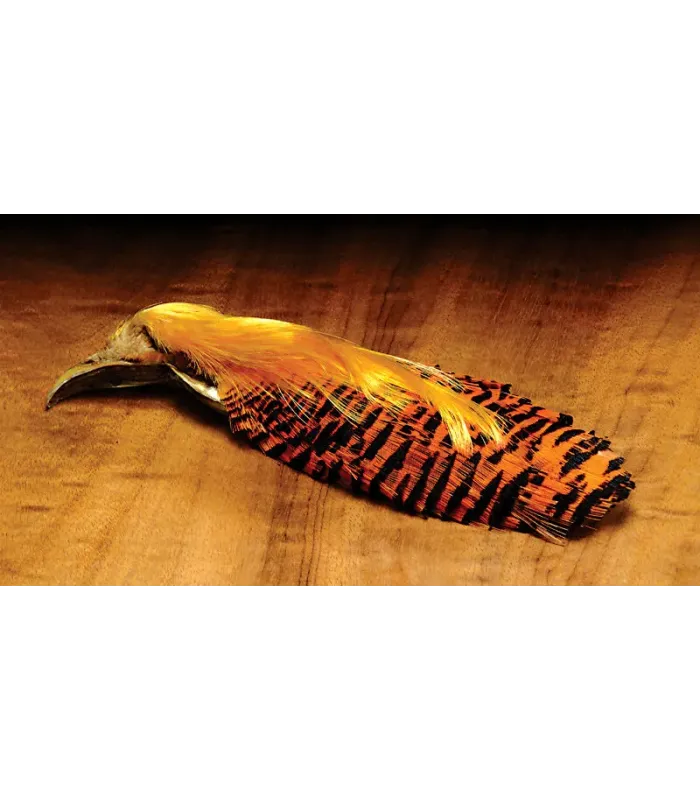 Hareline golden pheasant complete head