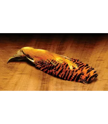 Hareline golden pheasant complete head