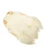 Indian hen neck