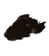 Indian hen neck